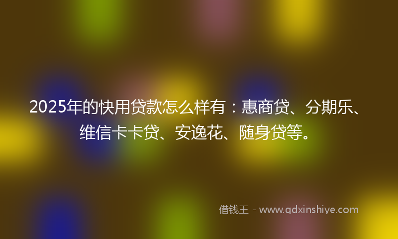 2025年的快用贷款怎么样有：惠商贷、分期乐、维信卡卡贷、安逸花、随身贷等。