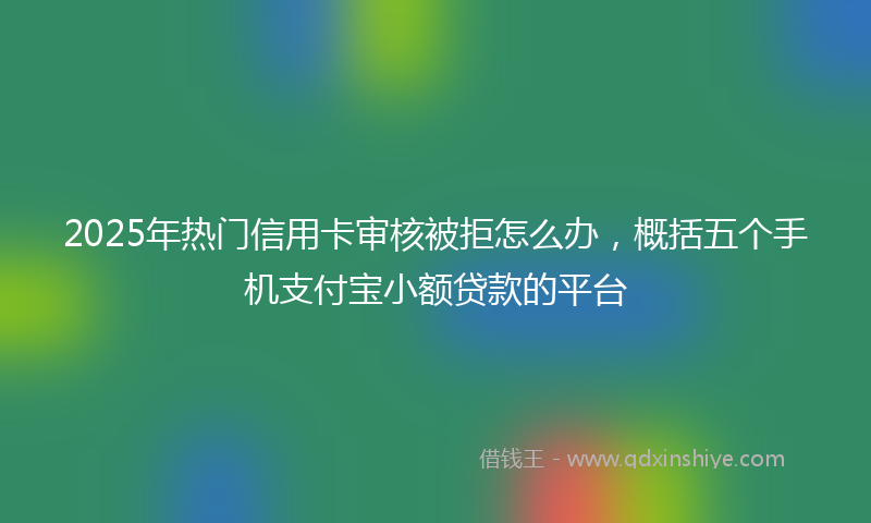 2025年热门信用卡审核被拒怎么办，概括五个手机支付宝小额贷款的平台