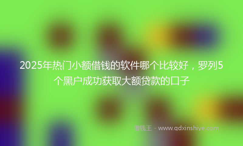 2025年热门小额借钱的软件哪个比较好，罗列5个黑户成功获取大额贷款的口子