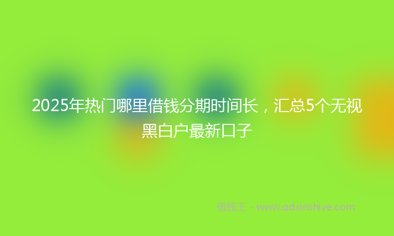 2025年热门哪里借钱分期时间长，汇总5个无视黑白户最新口子