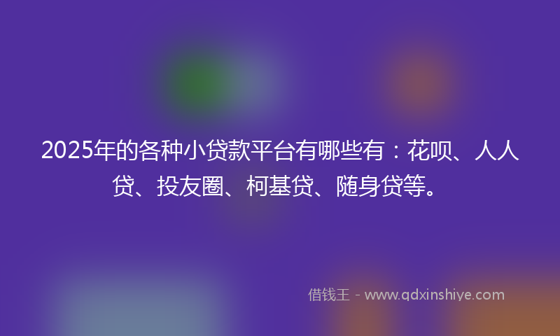 2025年的各种小贷款平台有哪些有：花呗、人人贷、投友圈、柯基贷、随身贷等。