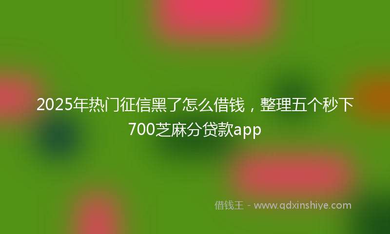 2025年热门征信黑了怎么借钱，整理五个秒下700芝麻分贷款app