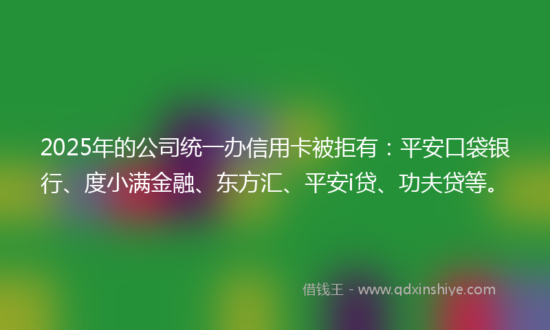 2025年的公司统一办信用卡被拒有：平安口袋银行、度小满金融、东方汇、平安i贷、功夫贷等。