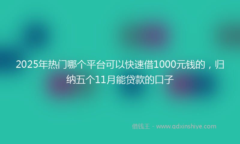 2025年热门哪个平台可以快速借1000元钱的，归纳五个11月能贷款的口子