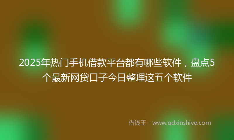 2025年热门手机借款平台都有哪些软件，盘点5个最新网贷口子今日整理这五个软件