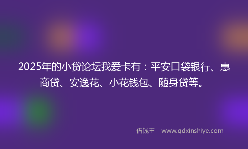 2025年的小贷论坛我爱卡有：平安口袋银行、惠商贷、安逸花、小花钱包、随身贷等。