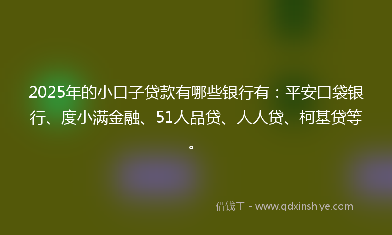 2025年的小口子贷款有哪些银行有：平安口袋银行、度小满金融、51人品贷、人人贷、柯基贷等。
