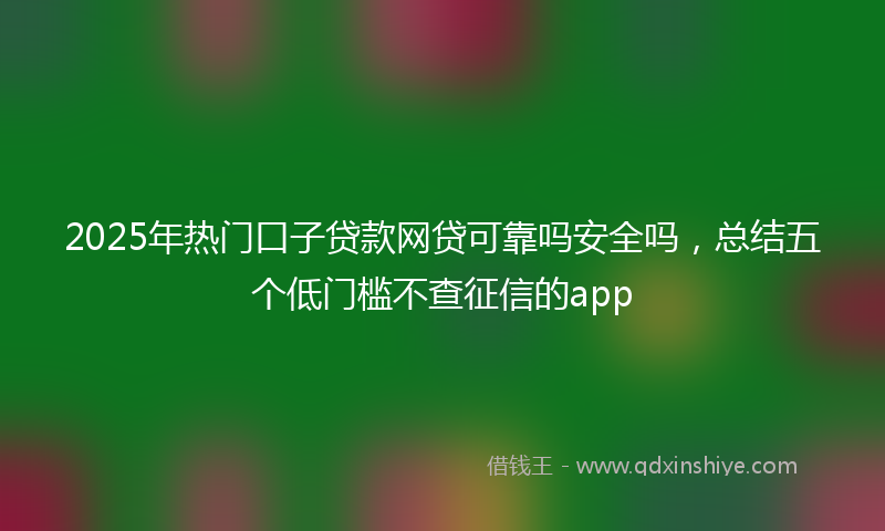 2025年热门口子贷款网贷可靠吗安全吗，总结五个低门槛不查征信的app