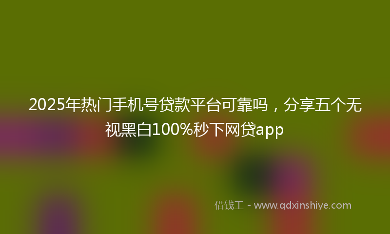 2025年热门手机号贷款平台可靠吗，分享五个无视黑白100%秒下网贷app