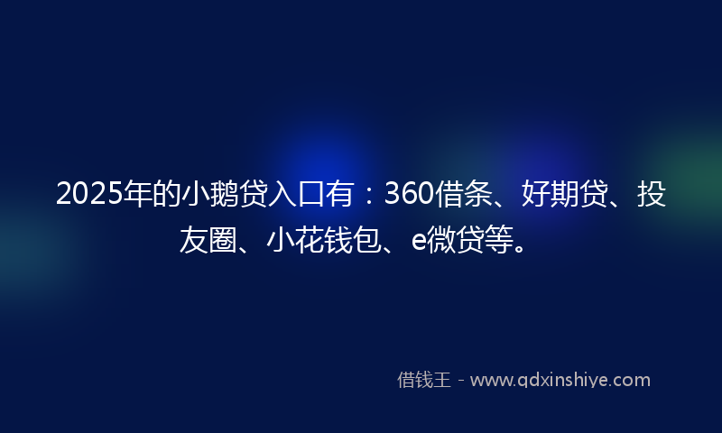 2025年的小鹅贷入口有：360借条、好期贷、投友圈、小花钱包、e微贷等。