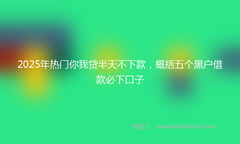 2025年热门你我贷半天不下款，概括五个黑户借款必下口子