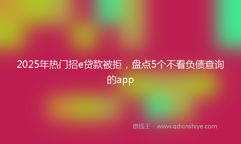 2025年热门招e贷款被拒，盘点5个不看负债查询的app