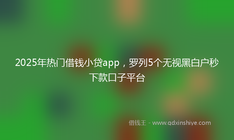 2025年热门借钱小贷app，罗列5个无视黑白户秒下款口子平台