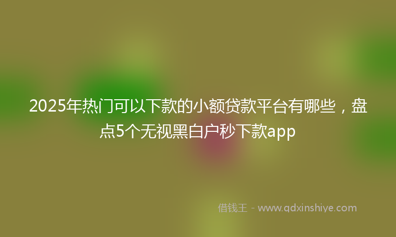 2025年热门可以下款的小额贷款平台有哪些，盘点5个无视黑白户秒下款app