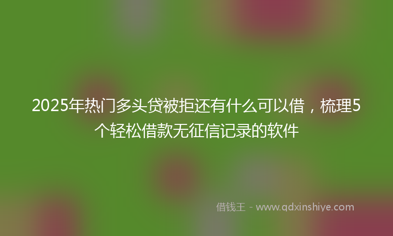 2025年热门多头贷被拒还有什么可以借，梳理5个轻松借款无征信记录的软件