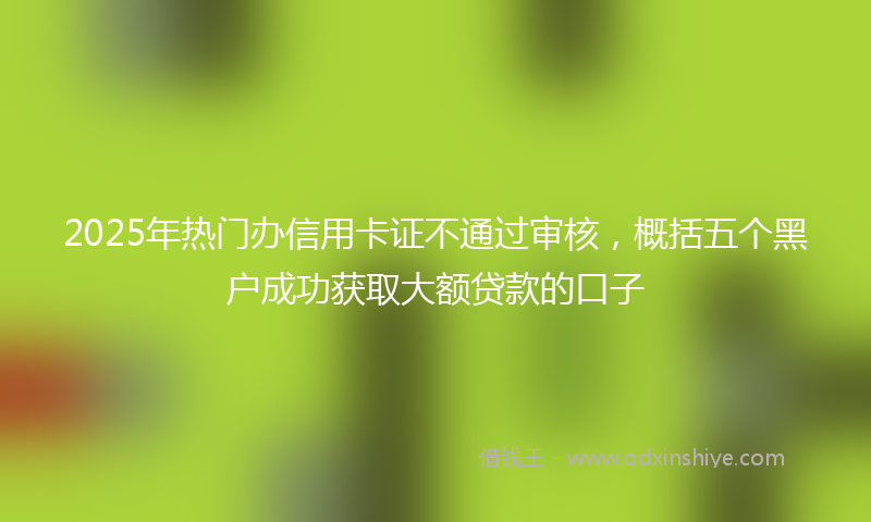 2025年热门办信用卡证不通过审核，概括五个黑户成功获取大额贷款的口子
