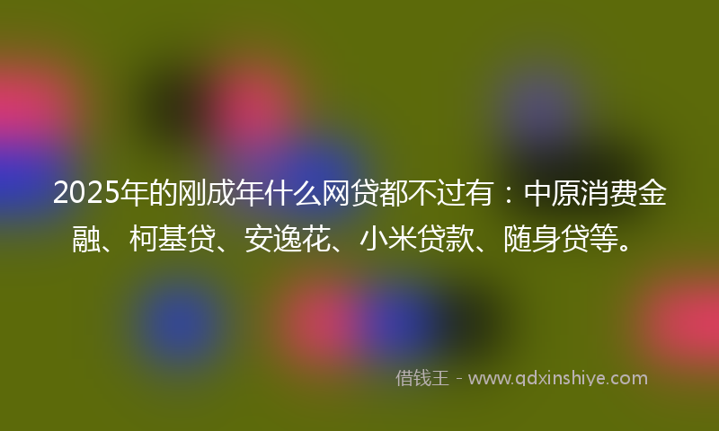 2025年的刚成年什么网贷都不过有：中原消费金融、柯基贷、安逸花、小米贷款、随身贷等。