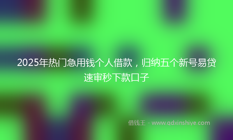 2025年热门急用钱个人借款，归纳五个新号易贷速审秒下款口子
