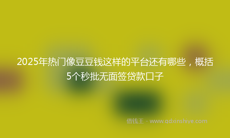 2025年热门像豆豆钱这样的平台还有哪些，概括5个秒批无面签贷款口子