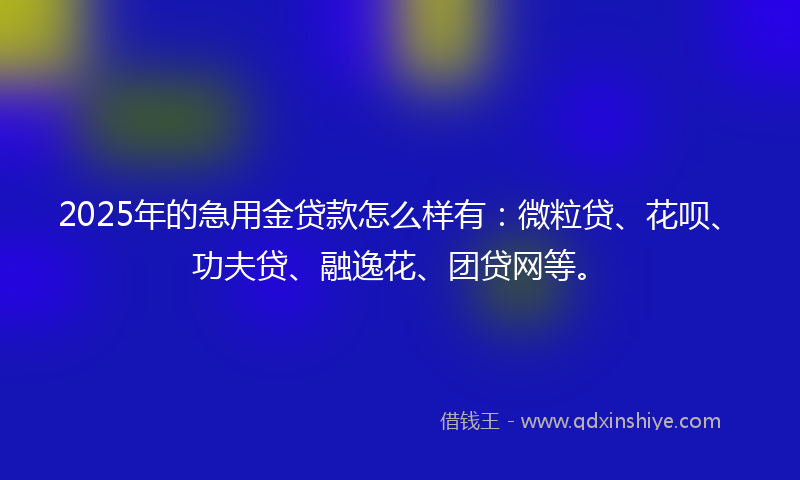 2025年的急用金贷款怎么样有：微粒贷、花呗、功夫贷、融逸花、团贷网等。