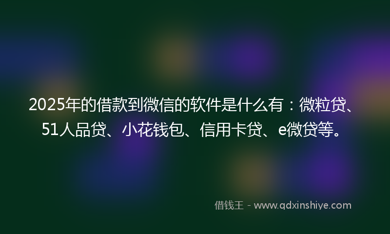 2025年的借款到微信的软件是什么有：微粒贷、51人品贷、小花钱包、信用卡贷、e微贷等。