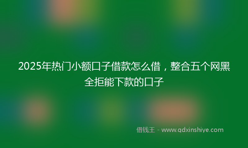 2025年热门小额口子借款怎么借，整合五个网黑全拒能下款的口子