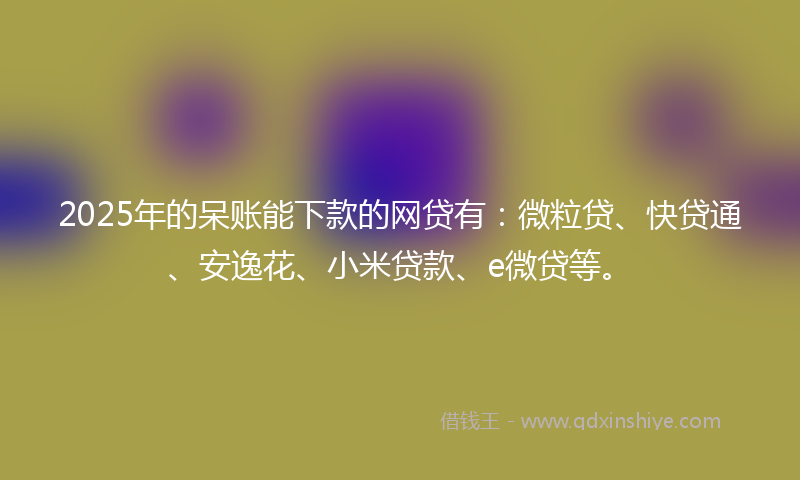 2025年的呆账能下款的网贷有：微粒贷、快贷通、安逸花、小米贷款、e微贷等。