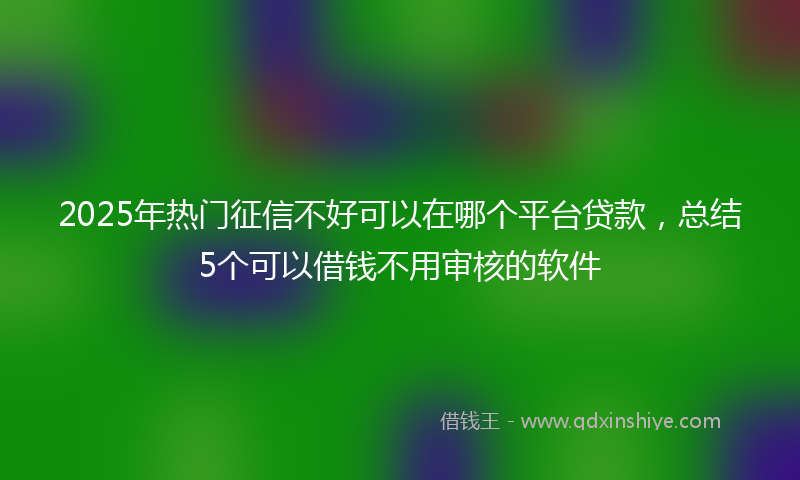 2025年热门征信不好可以在哪个平台贷款，总结5个可以借钱不用审核的软件