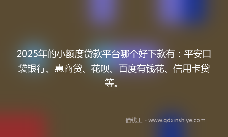 2025年的小额度贷款平台哪个好下款有：平安口袋银行、惠商贷、花呗、百度有钱花、信用卡贷等。