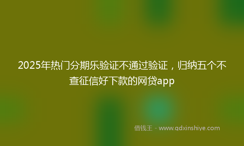 2025年热门分期乐验证不通过验证，归纳五个不查征信好下款的网贷app