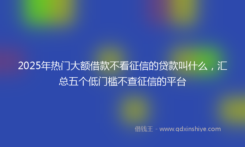 2025年热门大额借款不看征信的贷款叫什么，汇总五个低门槛不查征信的平台