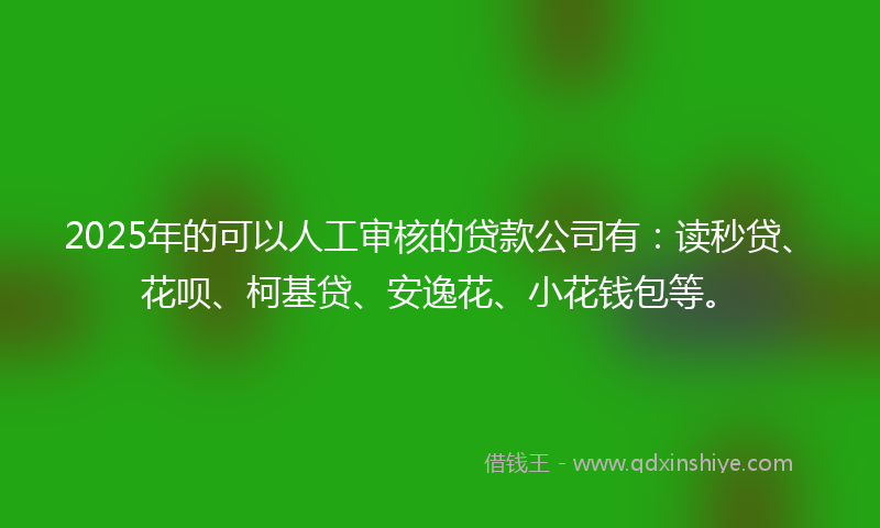 2025年的可以人工审核的贷款公司有：读秒贷、花呗、柯基贷、安逸花、小花钱包等。