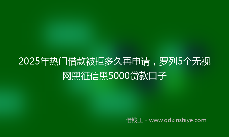 2025年热门借款被拒多久再申请，罗列5个无视网黑征信黑5000贷款口子