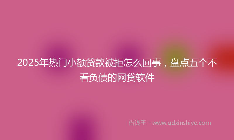 2025年热门小额贷款被拒怎么回事，盘点五个不看负债的网贷软件