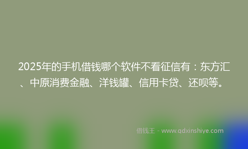 2025年的手机借钱哪个软件不看征信有：东方汇、中原消费金融、洋钱罐、信用卡贷、还呗等。