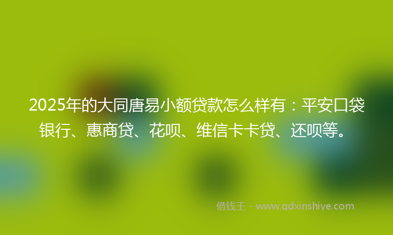 2025年的大同唐易小额贷款怎么样有：平安口袋银行、惠商贷、花呗、维信卡卡贷、还呗等。