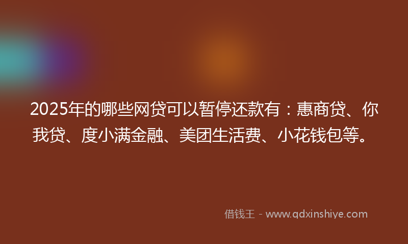 2025年的哪些网贷可以暂停还款有：惠商贷、你我贷、度小满金融、美团生活费、小花钱包等。