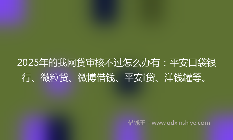 2025年的我网贷审核不过怎么办有：平安口袋银行、微粒贷、微博借钱、平安i贷、洋钱罐等。