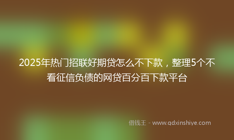 2025年热门招联好期贷怎么不下款，整理5个不看征信负债的网贷百分百下款平台