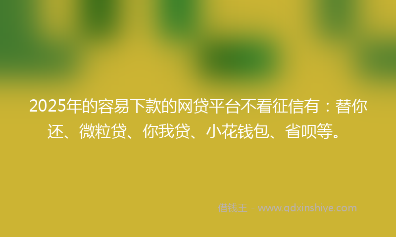 2025年的容易下款的网贷平台不看征信有：替你还、微粒贷、你我贷、小花钱包、省呗等。