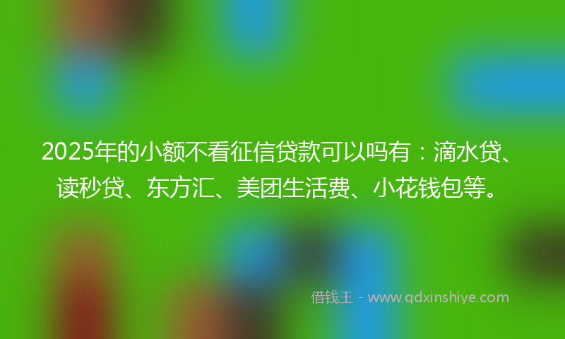 2025年的小额不看征信贷款可以吗有：滴水贷、读秒贷、东方汇、美团生活费、小花钱包等。