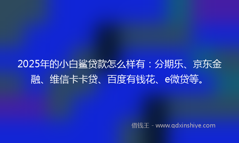 2025年的小白鲨贷款怎么样有：分期乐、京东金融、维信卡卡贷、百度有钱花、e微贷等。