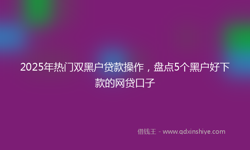 2025年热门双黑户贷款操作，盘点5个黑户好下款的网贷口子