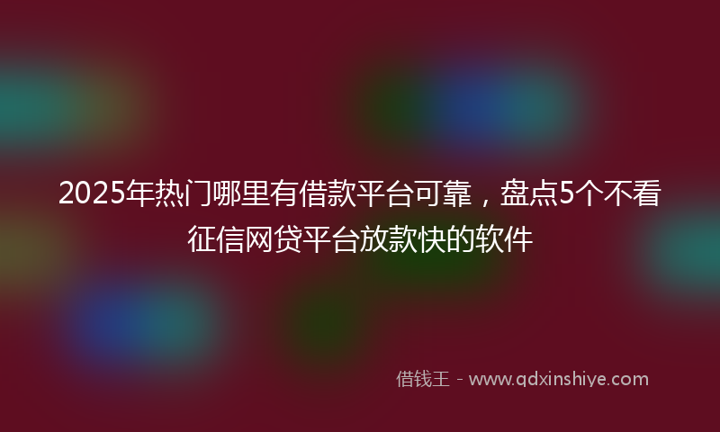 2025年热门哪里有借款平台可靠，盘点5个不看征信网贷平台放款快的软件