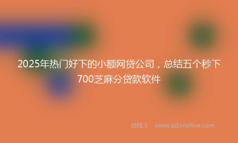 2025年热门好下的小额网贷公司，总结五个秒下700芝麻分贷款软件