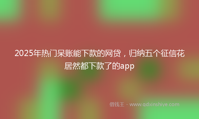 2025年热门呆账能下款的网贷，归纳五个征信花居然都下款了的app