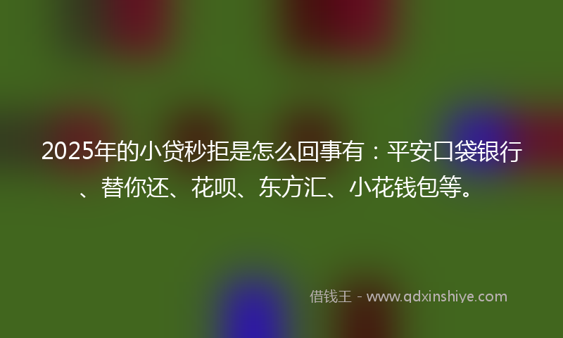 2025年的小贷秒拒是怎么回事有：平安口袋银行、替你还、花呗、东方汇、小花钱包等。
