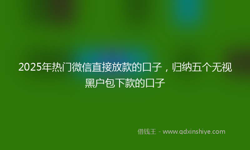 2025年热门微信直接放款的口子，归纳五个无视黑户包下款的口子