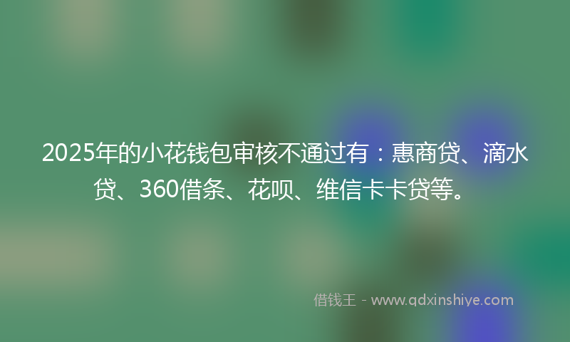 2025年的小花钱包审核不通过有：惠商贷、滴水贷、360借条、花呗、维信卡卡贷等。