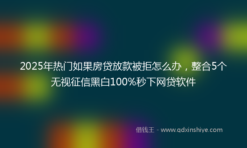 2025年热门如果房贷放款被拒怎么办，整合5个无视征信黑白100%秒下网贷软件
